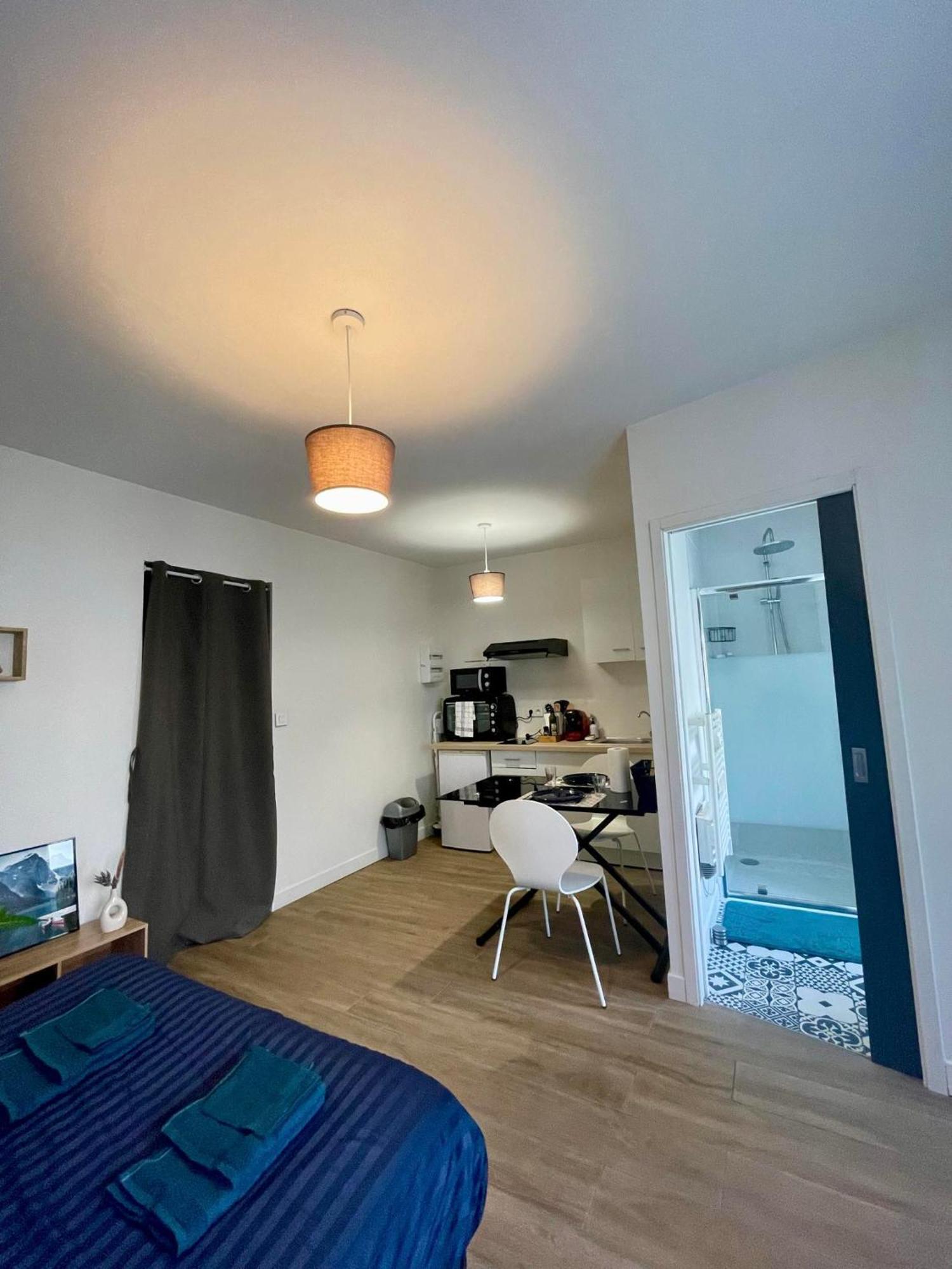 Appartement Cosy Proche Gare Анже Екстер'єр фото